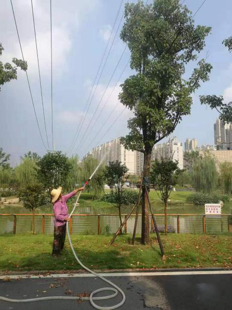 圖片1.png 圖片1.png